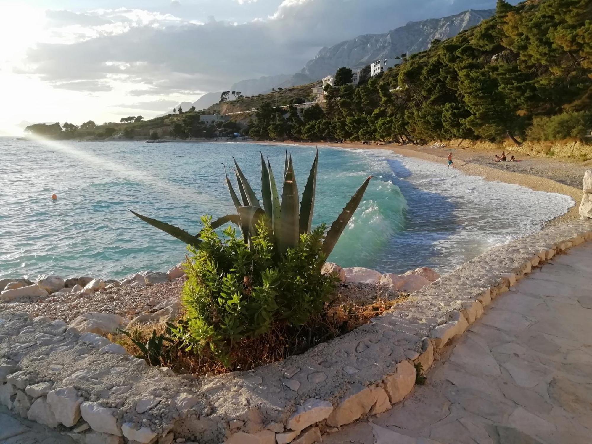 Apartment 70 M From The Beach Podgora Room photo